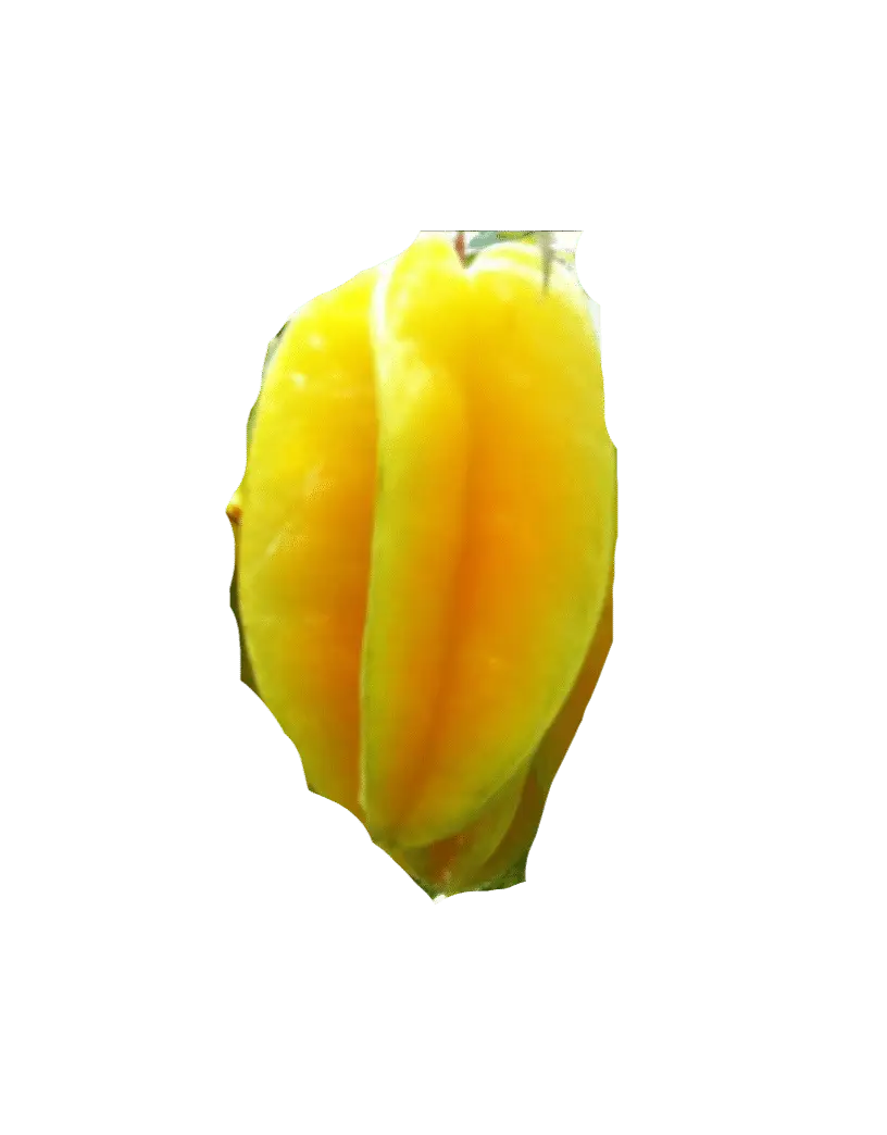 Photoroom_20250711_140812