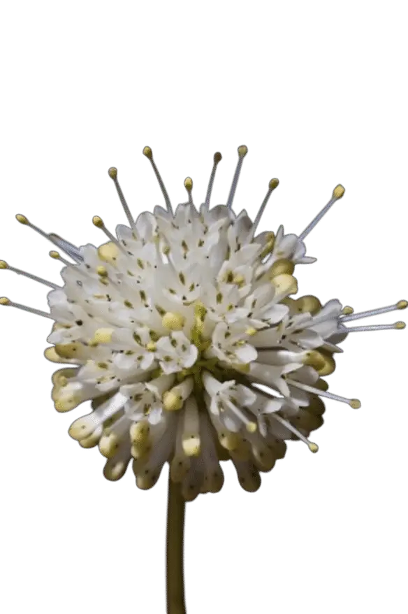 Photoroom_20250714_140021