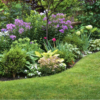Landscape Services