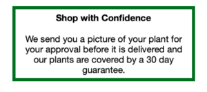 Shop With Confidence at Smarty Plants Nursery