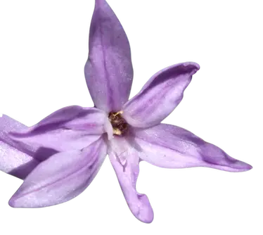 Photoroom_20250829_092559