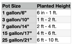 Pot Size and Plant Height Chart - Smarty Plants Nursery