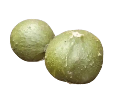 Photoroom_20250711_144614