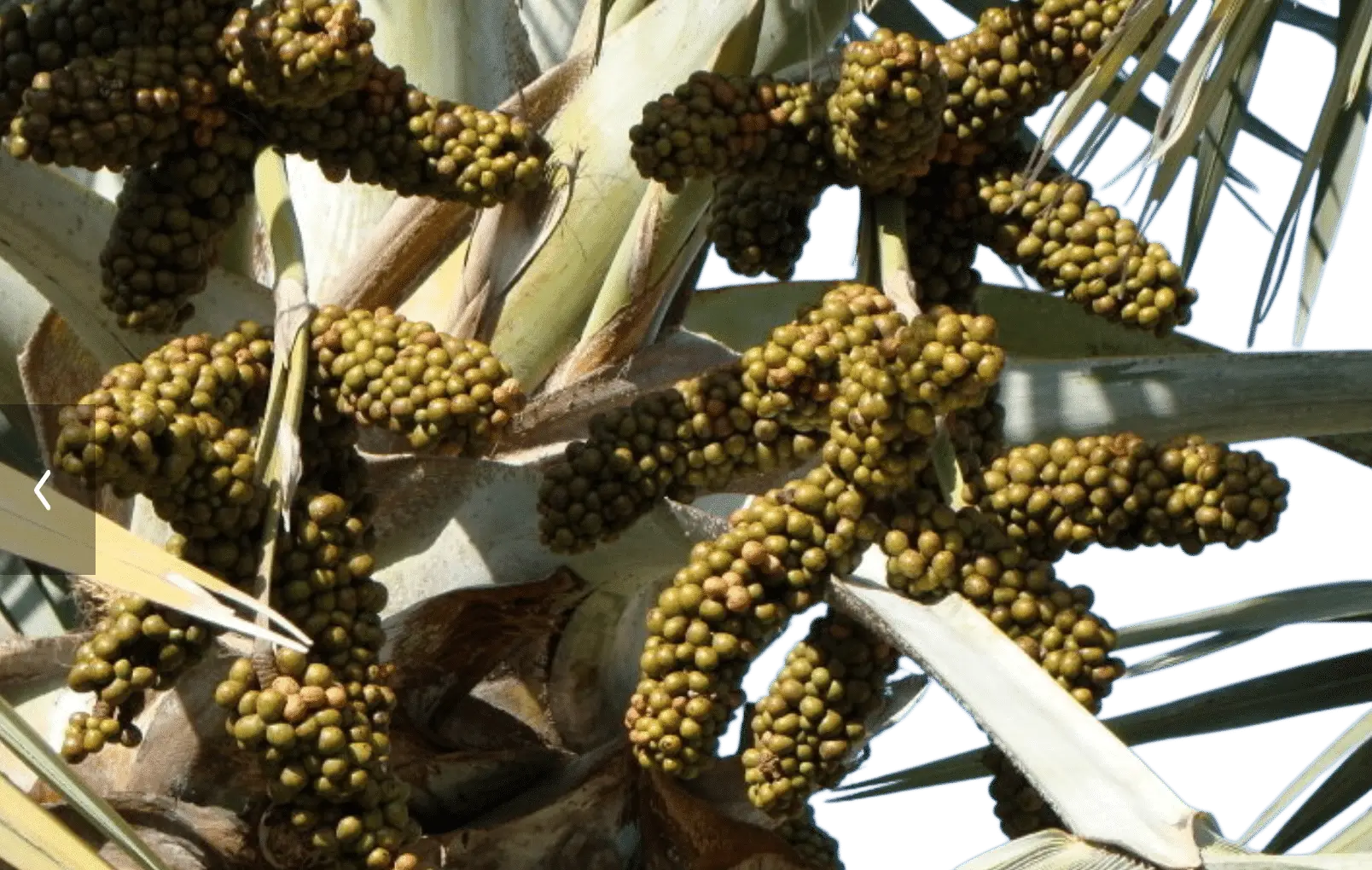 Photoroom_20250703_144012