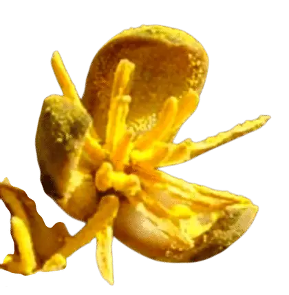 Photoroom_20250722_143853