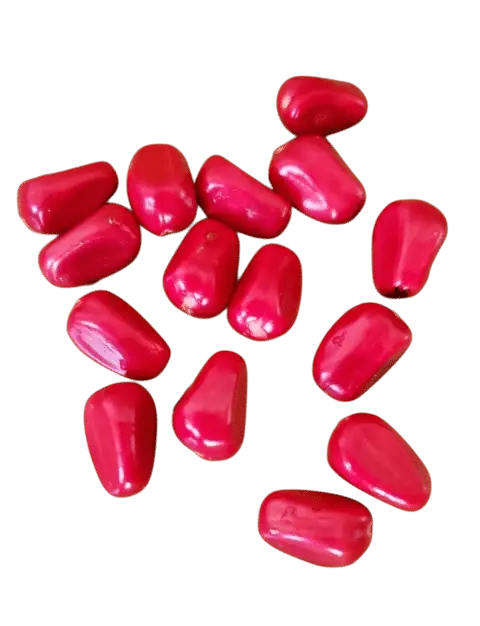 Photoroom_20250711_142846