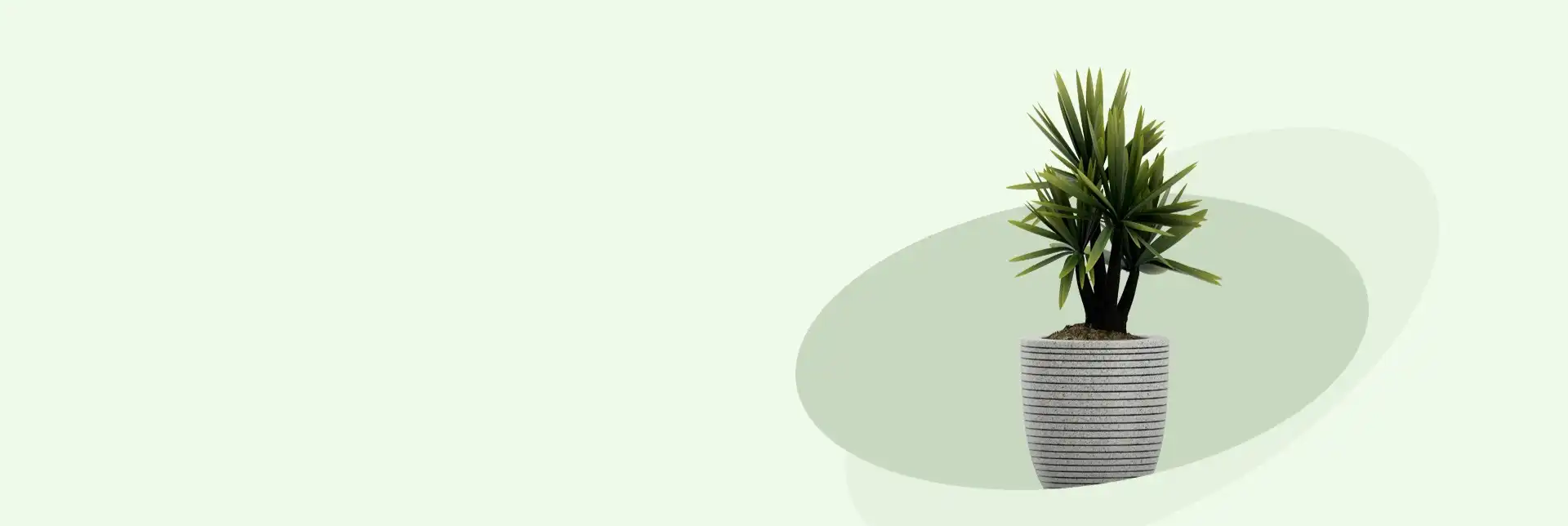 Image Slider