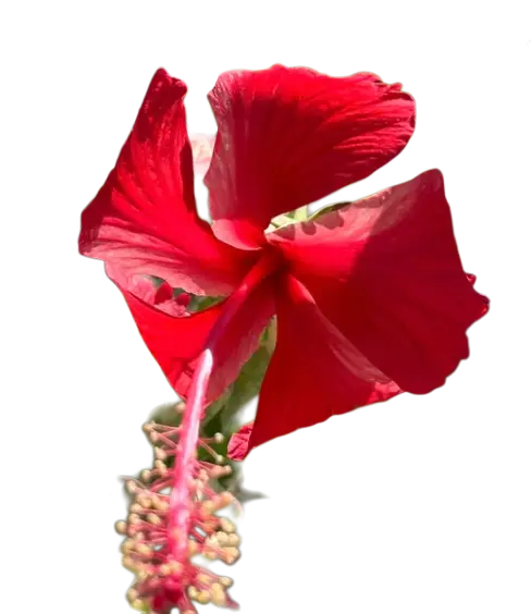 Photoroom_20260413_131704