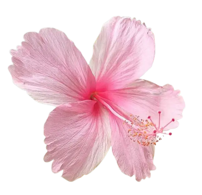 Photoroom_20260418_182020