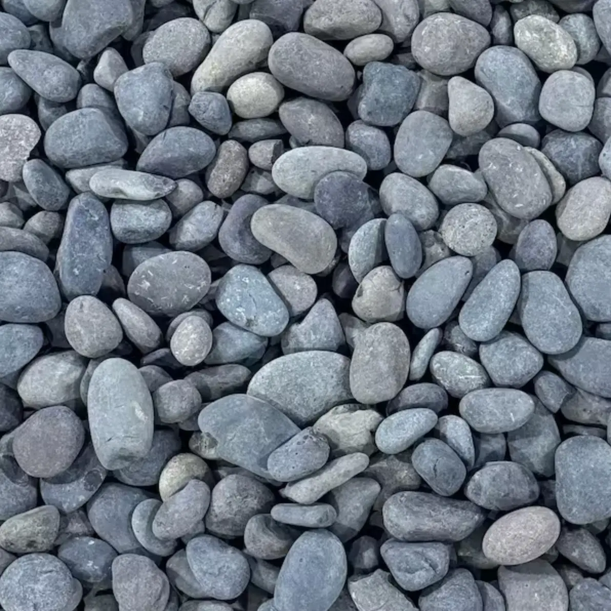 Screenshot 2026-04-13 at 1.50.48 PM