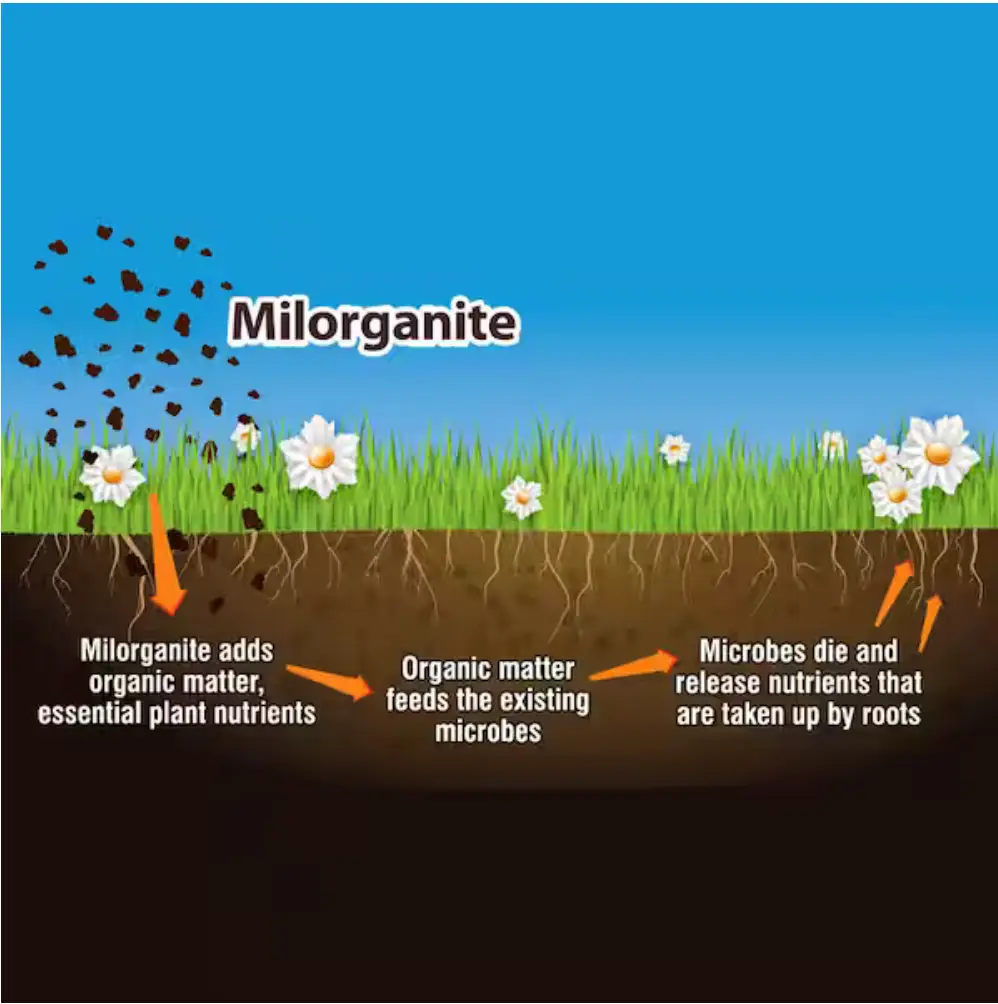 Screenshot 2026-04-13 at 2.06.04 PM